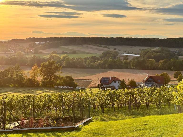 Ferienhaus Gemeinde Klöch