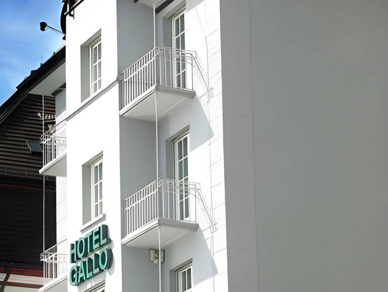 Boutique City Hotel Gallo in St. Gallen