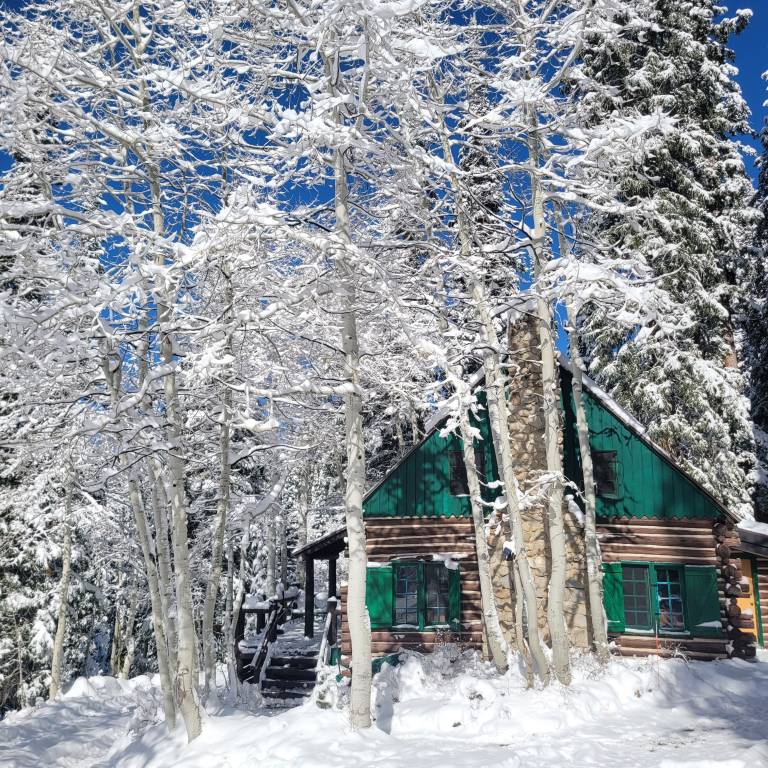 Cabin Park City