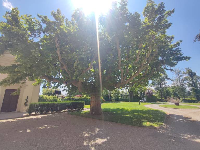 foto40