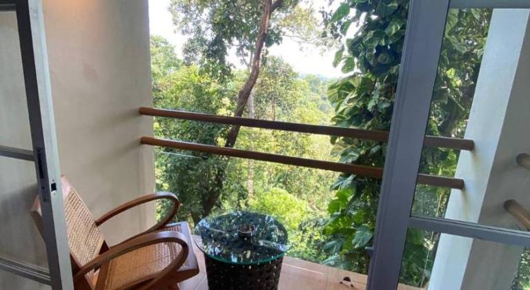 foto42