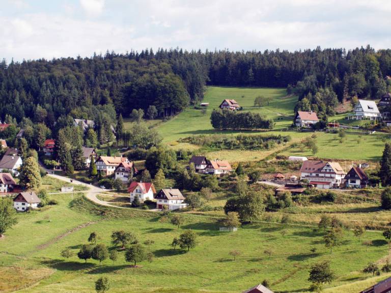 foto15