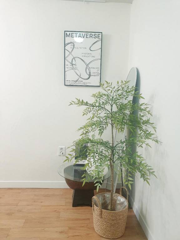 foto7