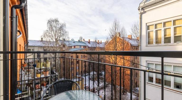 Beautiful rental apartment | Dogs allowed — photo 4