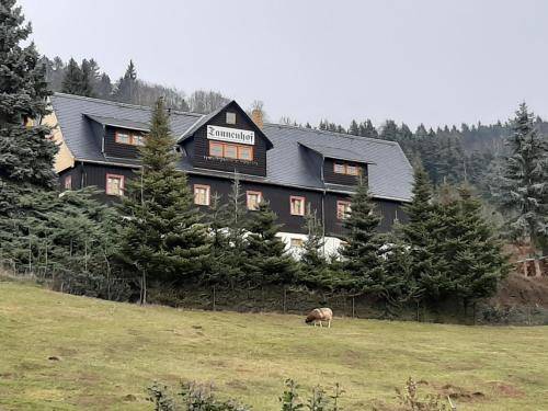 Bed & Breakfast Hinterhermsdorf
