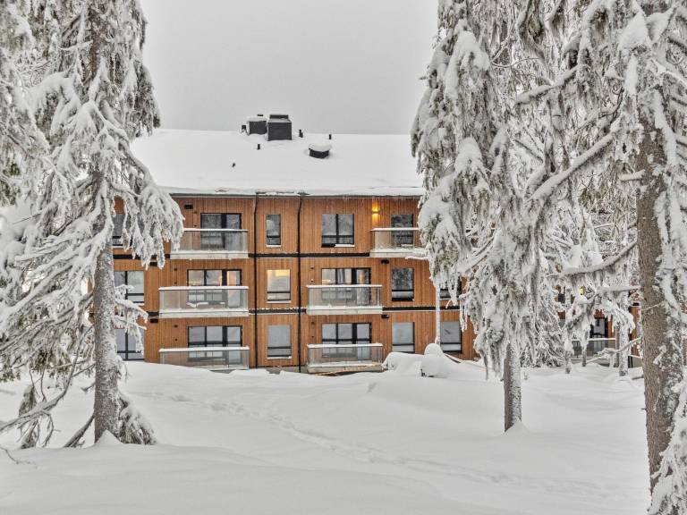 Ferienhaus  Levi