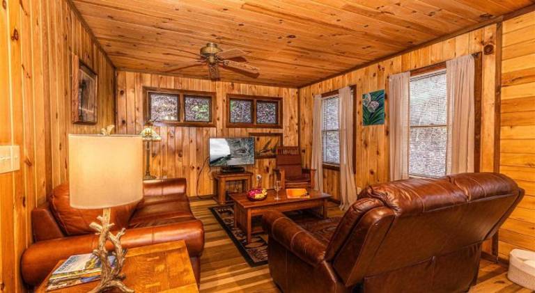Vacation home with jacuzzi in Bryson City, NC