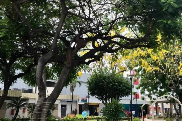 foto15
