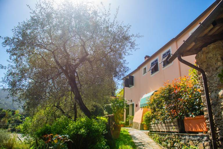 Camera privata Vernazza