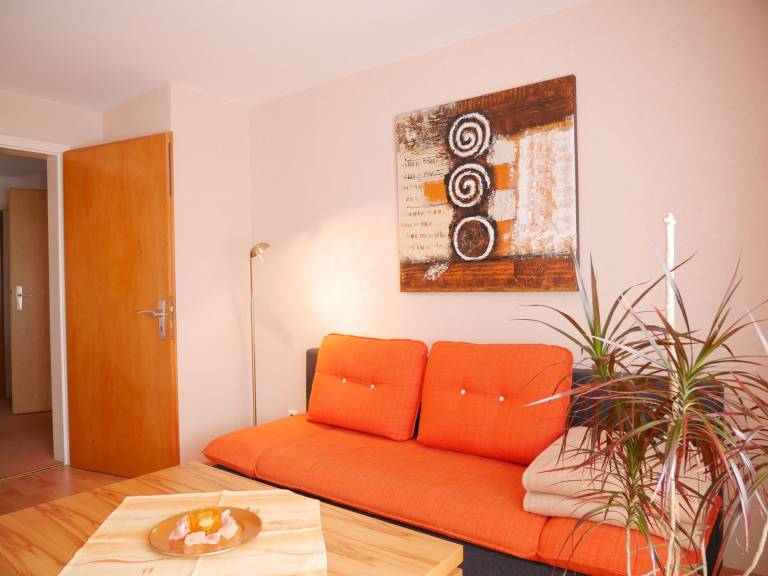 Apartment with yard & fast internet | Garden view in Seebach