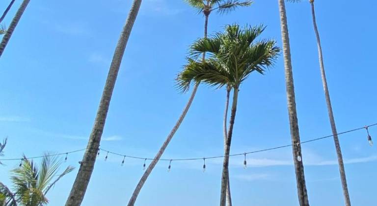El Mosquito Boutique Hotel Playa Bonita in Las Terrenas