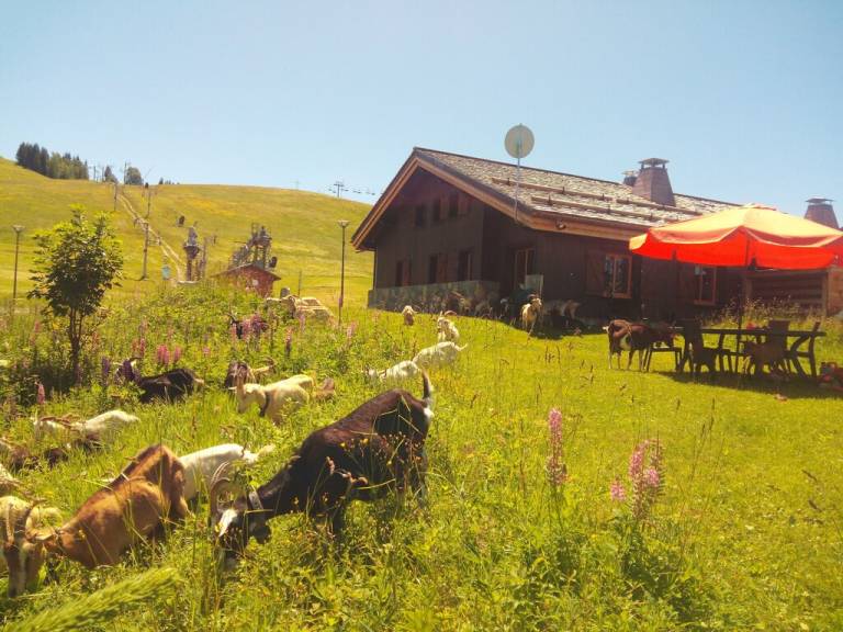 Chalet Samoëns