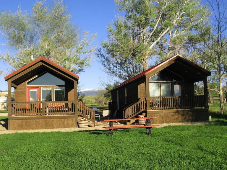 Cabin Buffalo