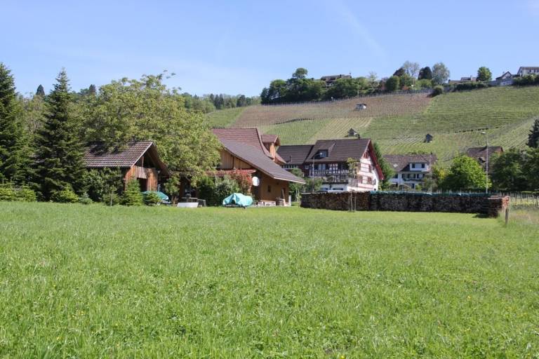 foto19