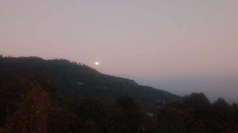 foto11
