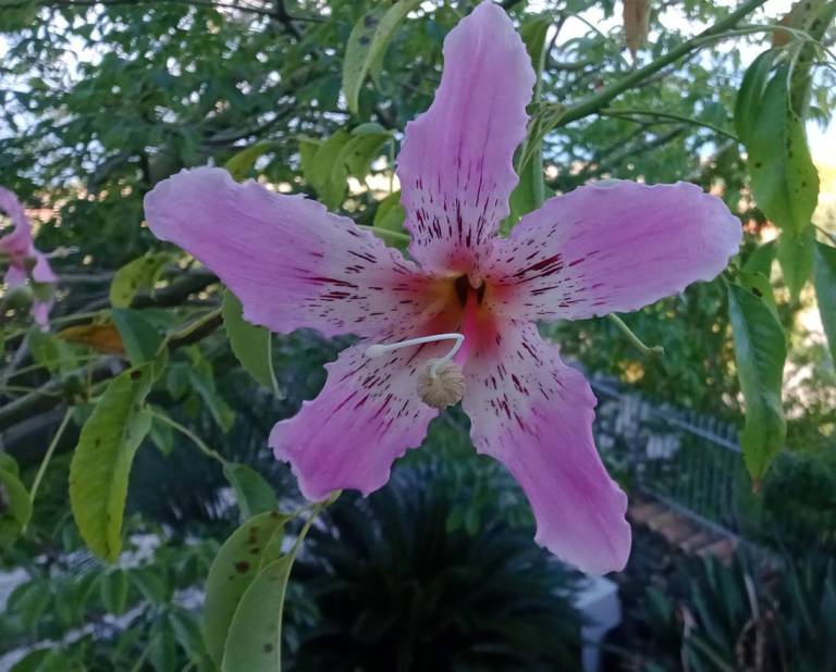 foto12