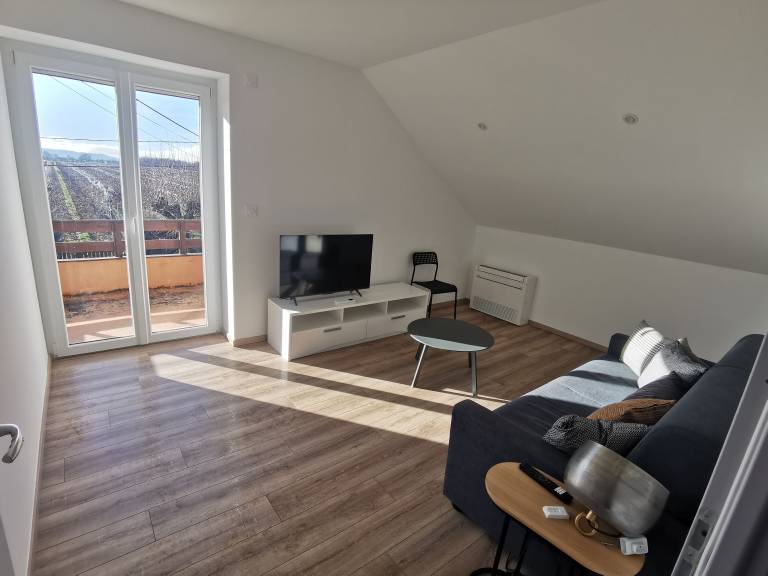 Apartment Bellegarde-Poussieu