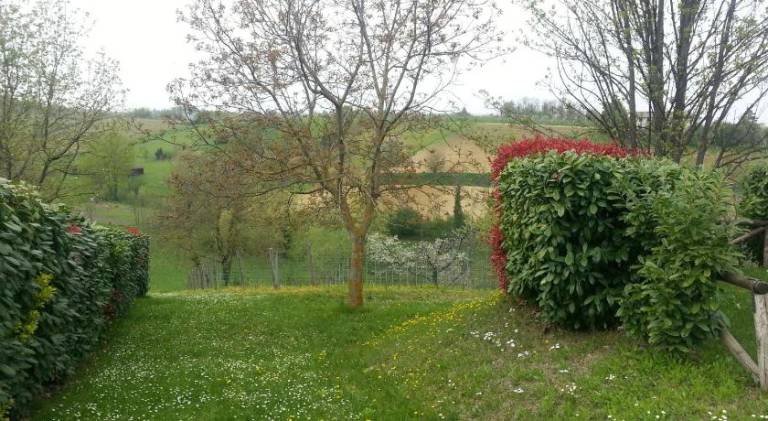 foto13