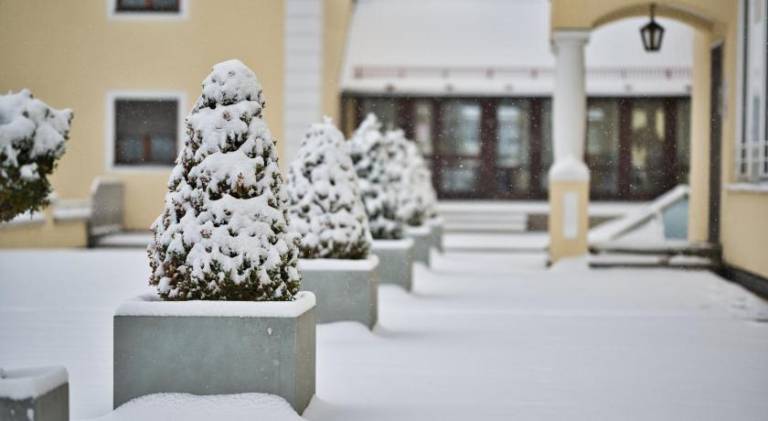 Hotel am Schlosspark Zum Kurfurst — photo 4