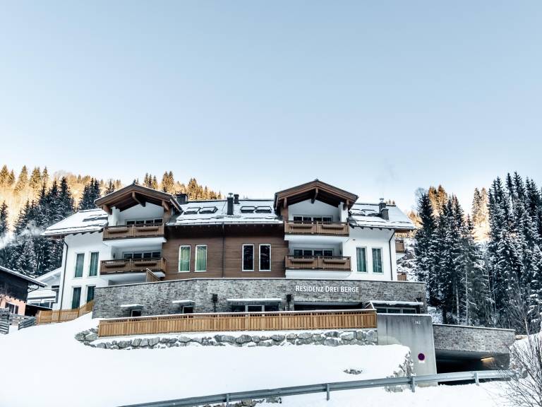 Appartement Viehhofen