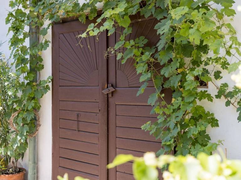 Bed & Breakfast Podersdorf am See