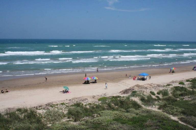 Condo  South Padre Island