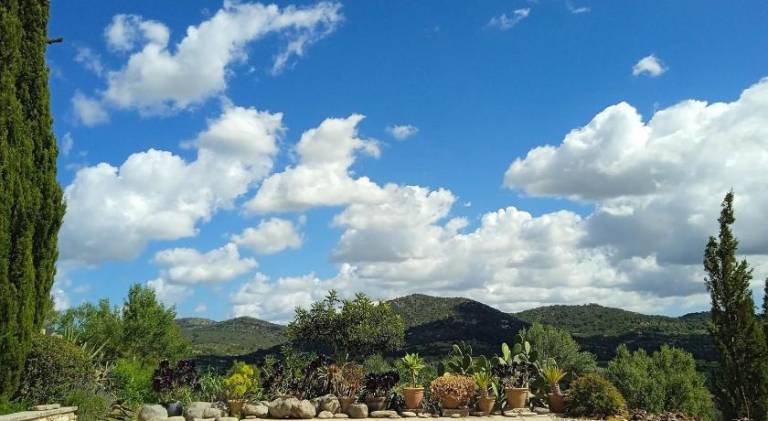 Lovely villa with pool | Pet-friendly in Manacor