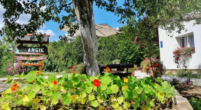 Bed and breakfast Novo Selo Koreničko