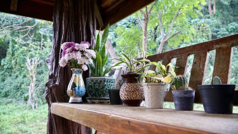 LANNA HOUSE บ้านลานนา เชียงดาว — photo 5