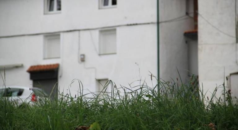 foto42