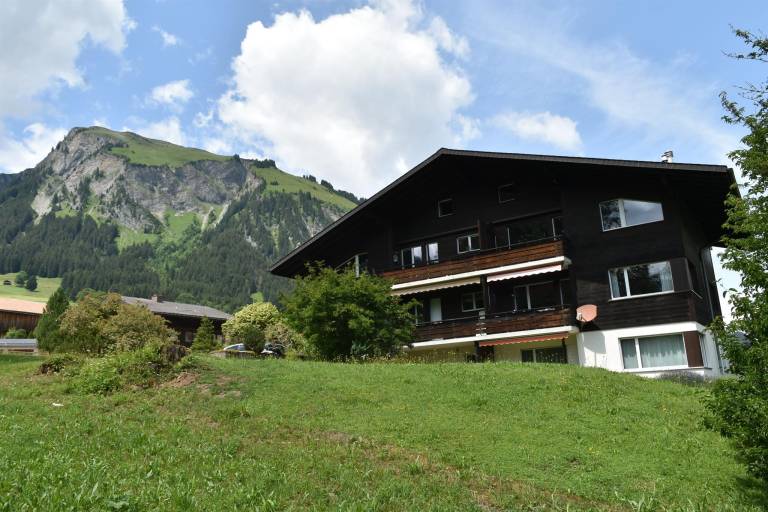 Appartement La Lenk