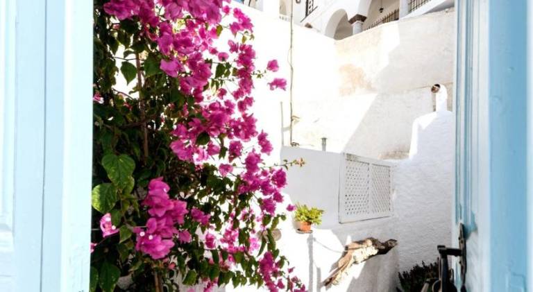 House | Pets allowed in Santorini