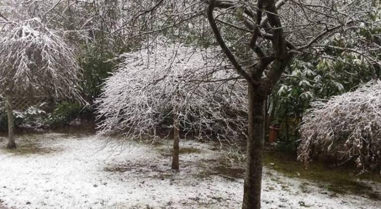 foto4