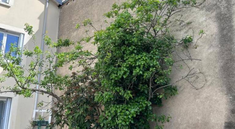 Pleasant rental apartment | Dogs allowed — photo 4