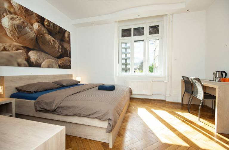 Viva Rooms in Ljubljana