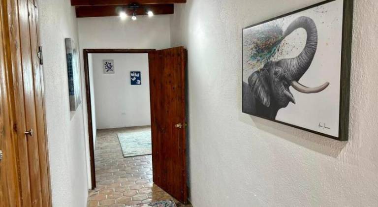 Apartment | Beach nearby | Dogs allowed — photo 3