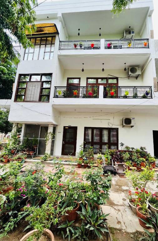 Alibaba’s Indiana Homestay
