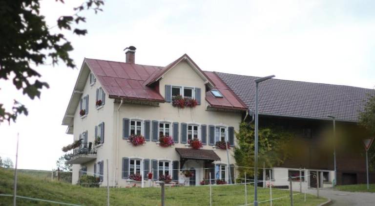 foto11