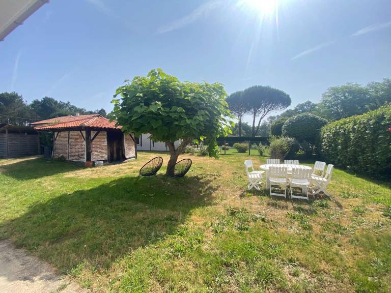 Appartement Léon