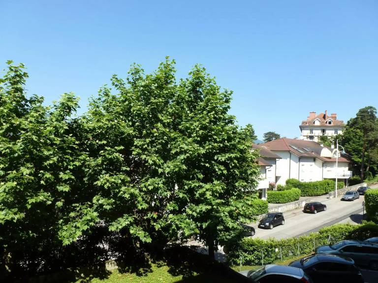 Residence Le Saint Charles B - Ideally located, 50m from the Thermal Cure! — photo 4