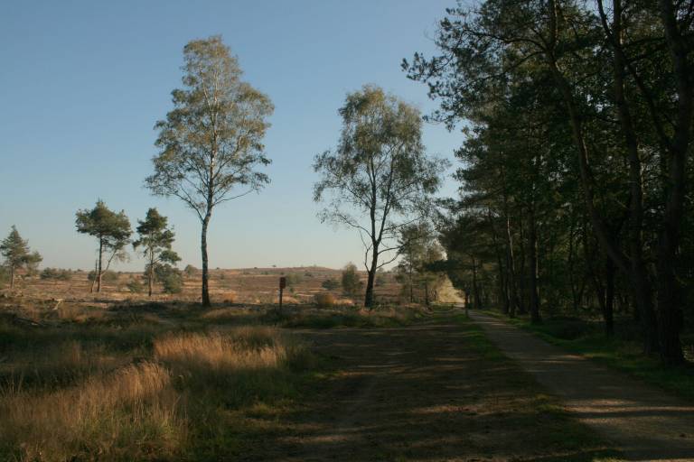 foto15