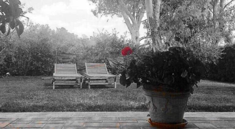 B&B Monte di Bu — photo 4