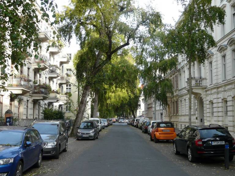 foto11