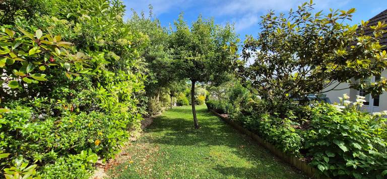 foto44