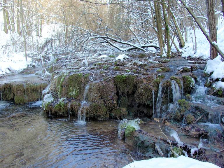 Ferienwohnung Eggolsheim