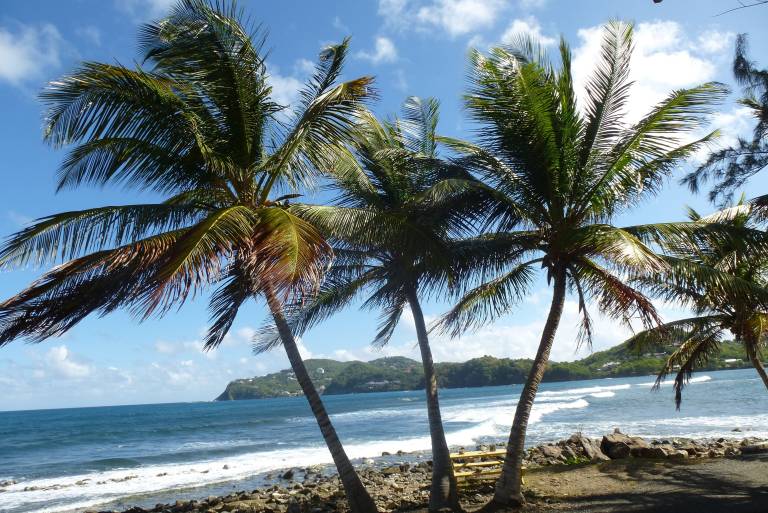 House Gros Islet