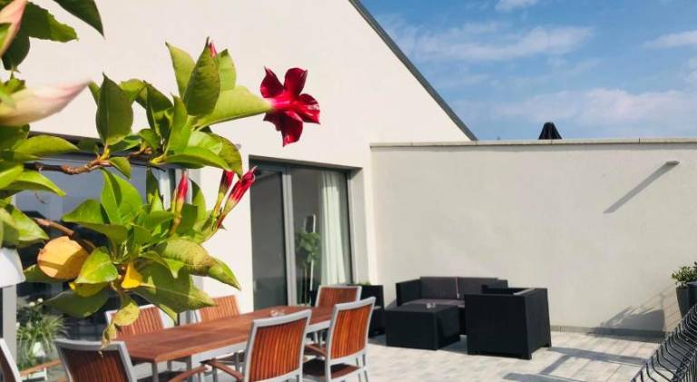 Wonderful vacation home | Dogs allowed in Namur