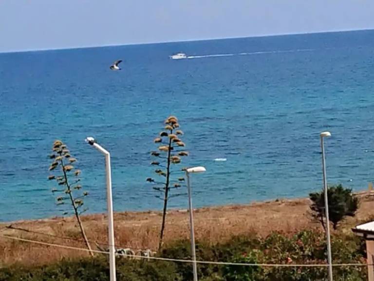 Appartamento  Brancaleone