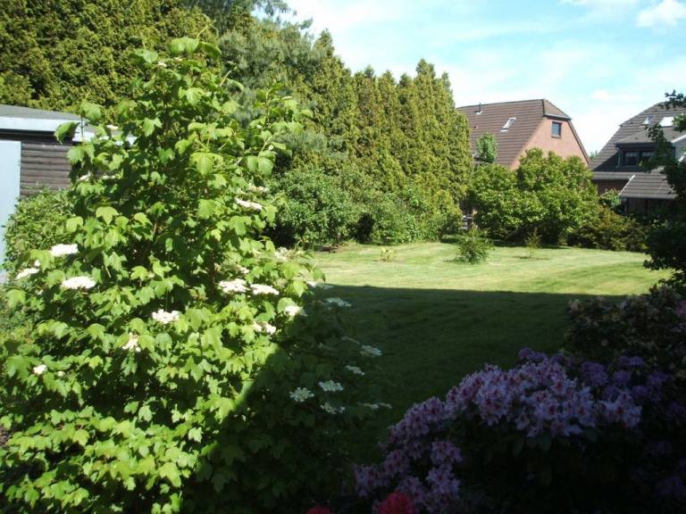 foto26