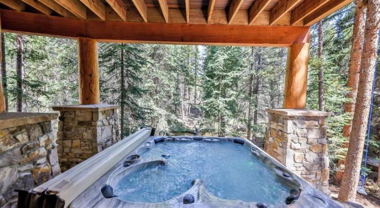 New creek side chateau guest suite! Booking for Ski Season NOW! With hot tub! — photo 3